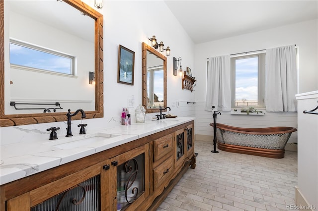 bathroom with vanity and a healthy amount of sunlight