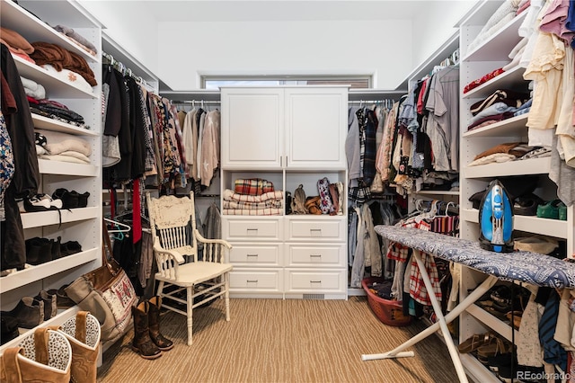 view of spacious closet