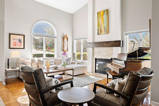 150 Chantrey Ct, Colorado Springs, CO 80906 - living room featuring high vaulted ceiling, a wealth of natural light, light wood finished floors, and a high end fireplace
