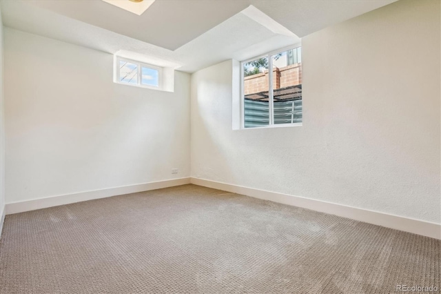 basement featuring carpet floors