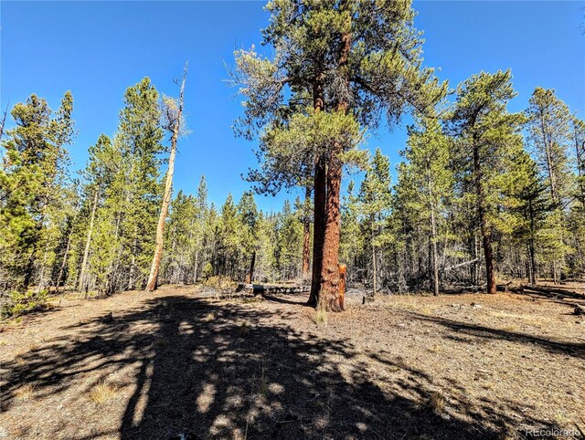 322 Juniper Dr, Twin Lakes, CO 81251
