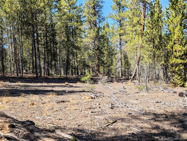 322 Juniper Dr, Twin Lakes, CO 81251