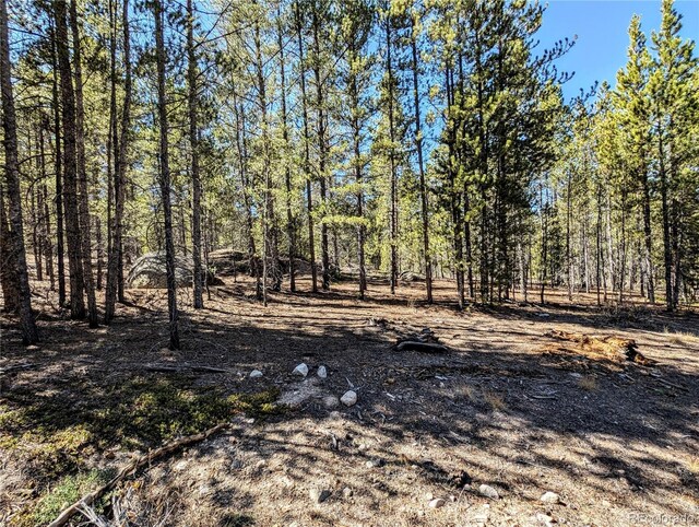 322 Juniper Dr, Twin Lakes, CO 81251