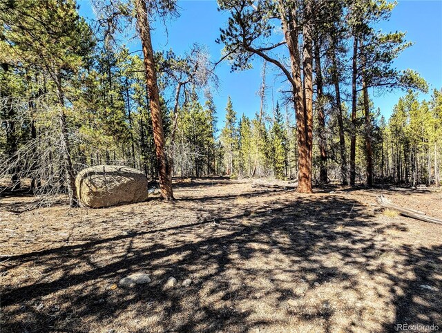 322 Juniper Dr, Twin Lakes, CO 81251