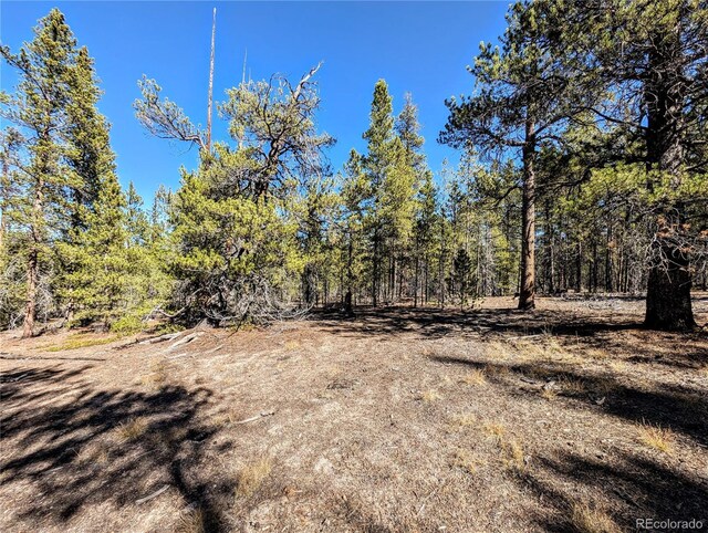 322 Juniper Dr, Twin Lakes, CO 81251