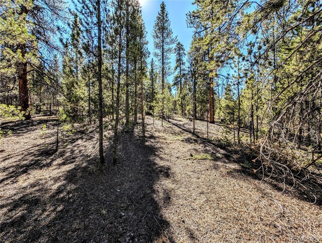 322 Juniper Dr, Twin Lakes, CO 81251