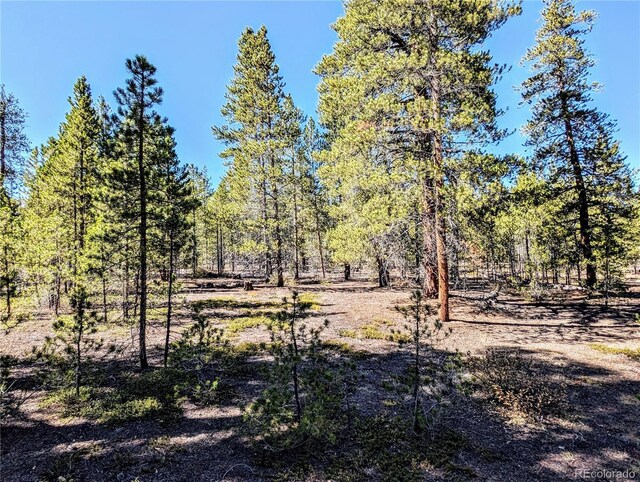 322 Juniper Dr, Twin Lakes, CO 81251