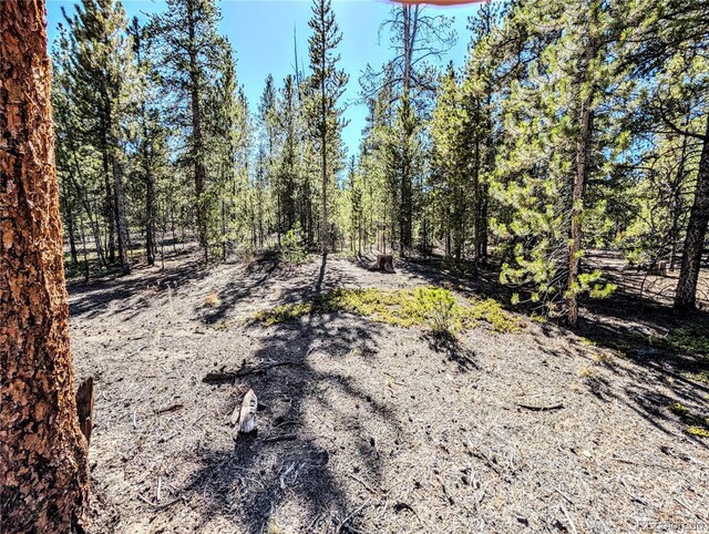 322 Juniper Dr, Twin Lakes, CO 81251