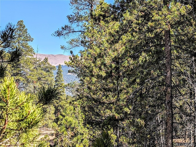 322 Juniper Dr, Twin Lakes, CO 81251
