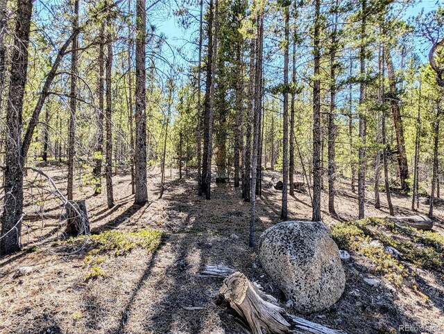 322 Juniper Dr, Twin Lakes, CO 81251