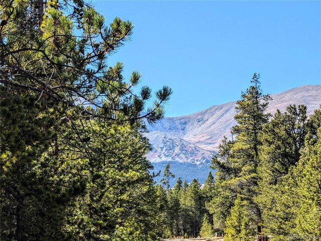 322 Juniper Dr, Twin Lakes, CO 81251