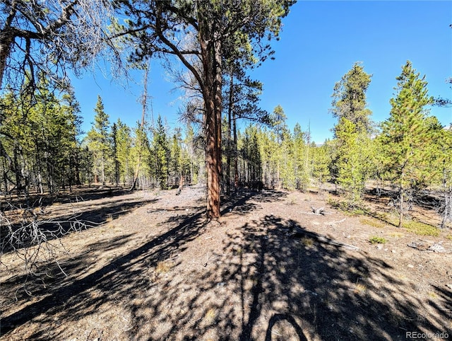 322 Juniper Dr, Twin Lakes, CO 81251
