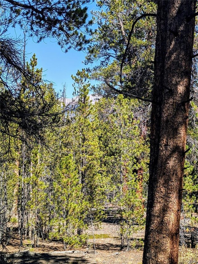 322 Juniper Dr, Twin Lakes, CO 81251