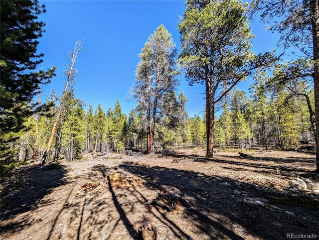 322 Juniper Dr, Twin Lakes, CO 81251
