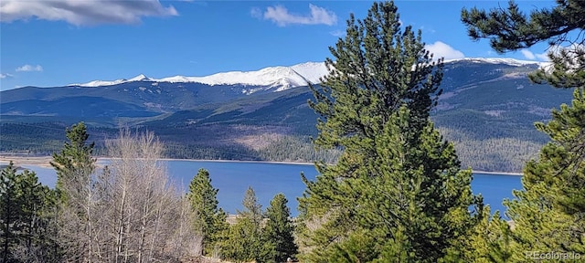 322 Juniper Dr, Twin Lakes, CO 81251
