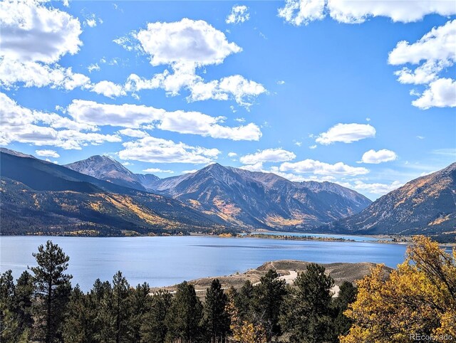322 Juniper Dr, Twin Lakes, CO 81251