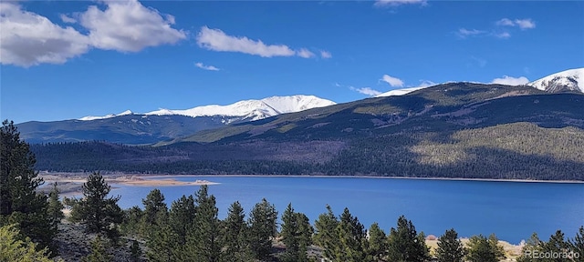 322 Juniper Dr, Twin Lakes, CO 81251