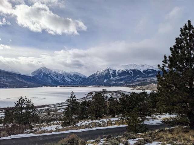 322 Juniper Dr, Twin Lakes, CO 81251