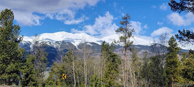322 Juniper Dr, Twin Lakes, CO 81251