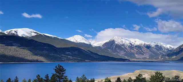 322 Juniper Dr, Twin Lakes, CO 81251