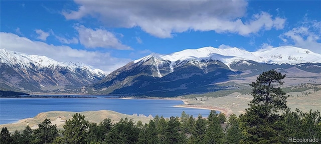 322 Juniper Dr, Twin Lakes, CO 81251