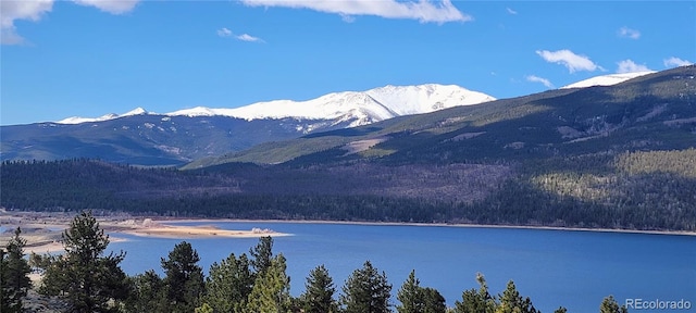 322 Juniper Dr, Twin Lakes, CO 81251