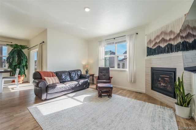 living room with hardwood / wood-style flooring and a tile fireplace