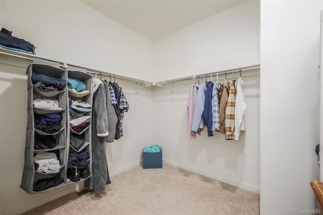 walk in closet featuring carpet flooring