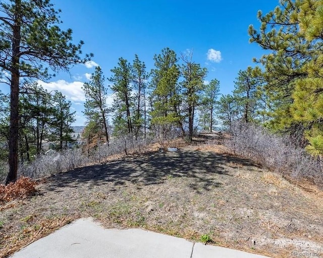 655 Ruby Trust Dr, Castle Rock, CO 80108