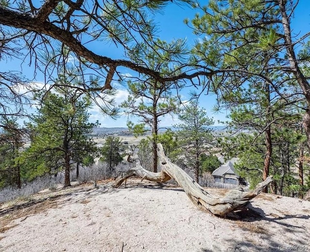 655 Ruby Trust Dr, Castle Rock, CO 80108