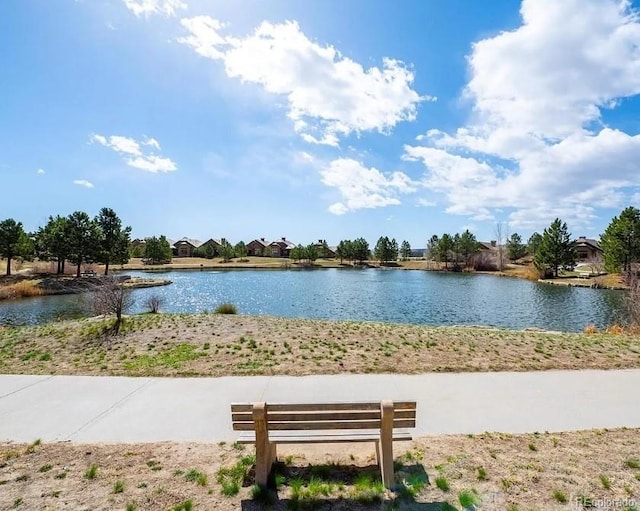 655 Ruby Trust Dr, Castle Rock, CO 80108