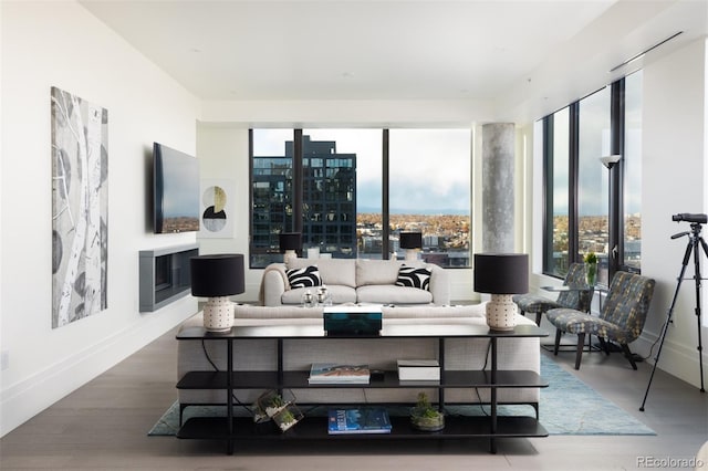 living room with hardwood / wood-style floors