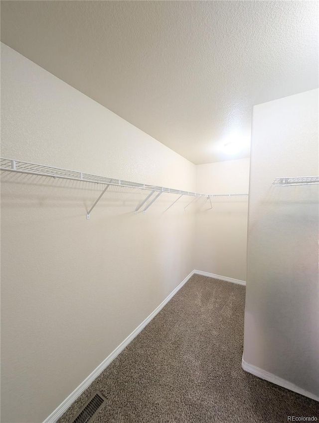 7958 Lightwood Way, Colorado Springs, CO 80908 - spacious closet with carpet floors