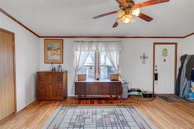 7080 S Calhan Rd, Calhan, CO 80808 - home office with light wood-style floors, crown molding, ceiling fan, and a textured ceiling