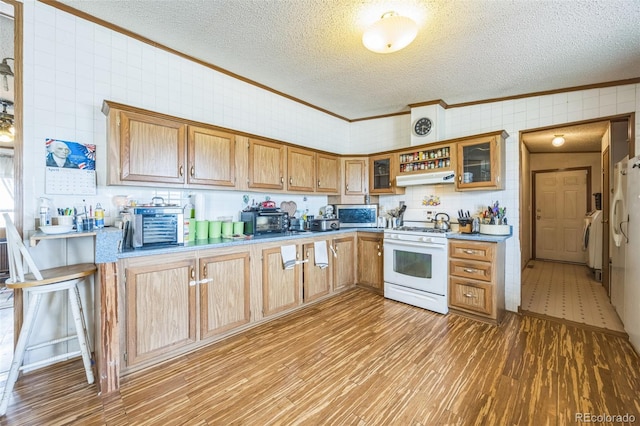 7080 S Calhan Rd, Calhan, CO 80808 - kitchen featuring a textured ceiling, under cabinet range hood, ornamental molding, light wood finished floors, and white gas stove