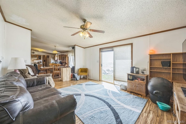 7080 S Calhan Rd, Calhan, CO 80808 - living room with ceiling fan, ornamental molding, a textured ceiling, and wood finished floors