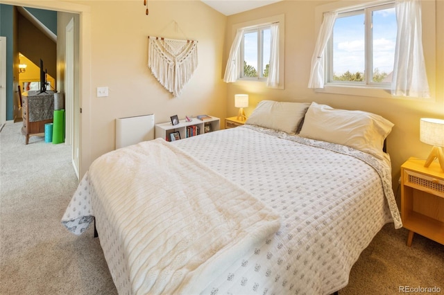 147 Moonlight Way, Crestone, CO 81131 - view of carpeted bedroom