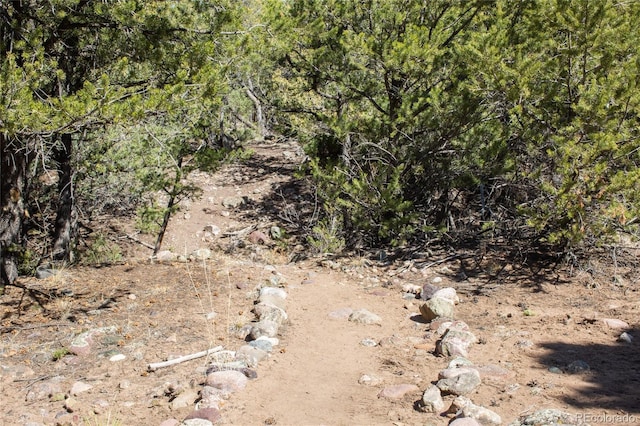 147 Moonlight Way, Crestone, CO 81131 - view of undeveloped land