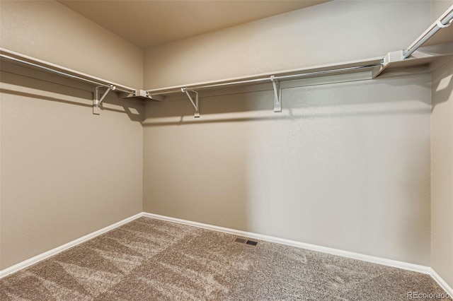 5841 Echo Park Cir, Castle Rock, CO 80104 - walk in closet with carpet floors