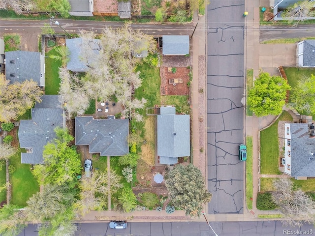 bird's eye view