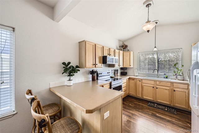 412 Iron St, Brighton, CO 80603 - kitchen with appliances with stainless steel finishes, light brown cabinetry, a peninsula, vaulted ceiling, and dark wood-type flooring