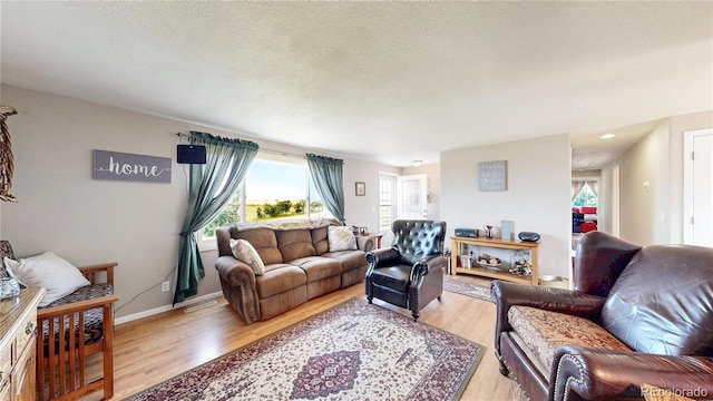 4160 Converse Rd, Bennett, CO 80102 - living area with light wood-style flooring and healthy amount of natural light