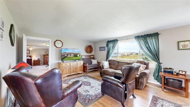 4160 Converse Rd, Bennett, CO 80102 - living room featuring light wood-type flooring