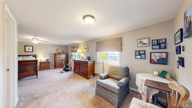 4160 Converse Rd, Bennett, CO 80102 - bedroom featuring light carpet and baseboards
