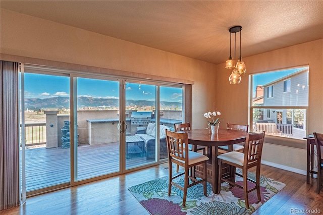 2459 Delicato Ct, Colorado Springs, CO 80921 - dining area with healthy amount of natural light, wood finished floors, and baseboards