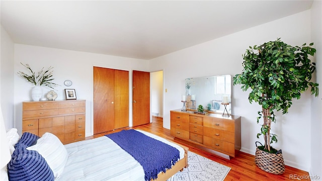 bedroom featuring a closet and hardwood / wood-style floors