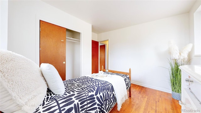 bedroom featuring hardwood / wood-style flooring and a closet