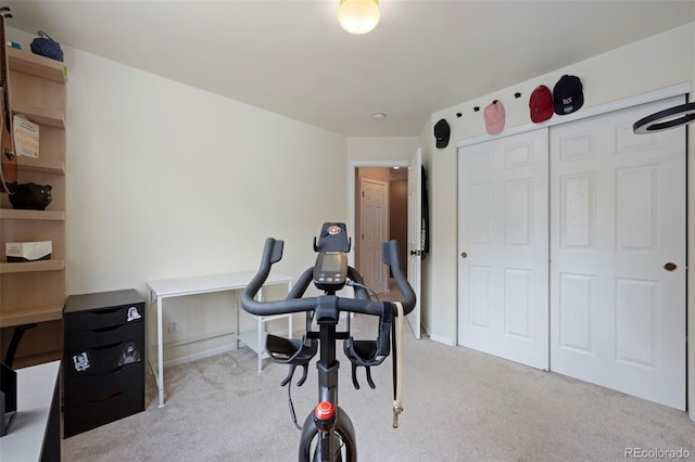 5243 Golden Eagle Pkwy, Brighton, CO 80601 - photo 22