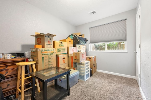 332 S 31st Ave, Brighton, CO 80601 - photo 15