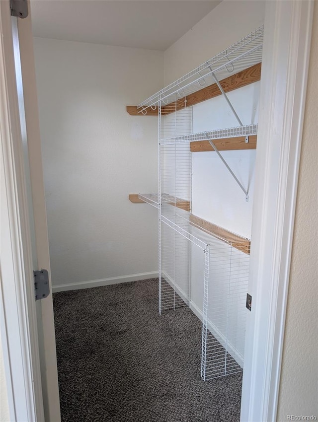 6603 Autumn Ridge Dr Unit 2, Fort Collins, CO 80525 - photo 11